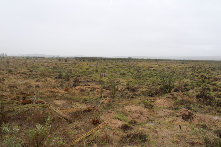 0 Bedroom Property for Sale in Riversdale Rural Western Cape